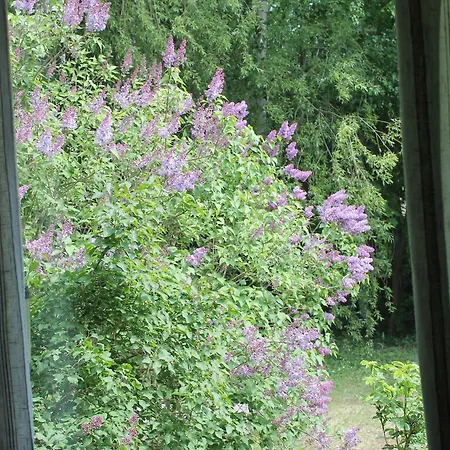 Gasthuis - Kuin Kotonaan