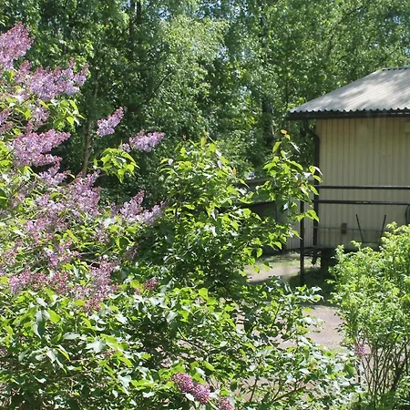 - Kuin Kotonaan Kotka