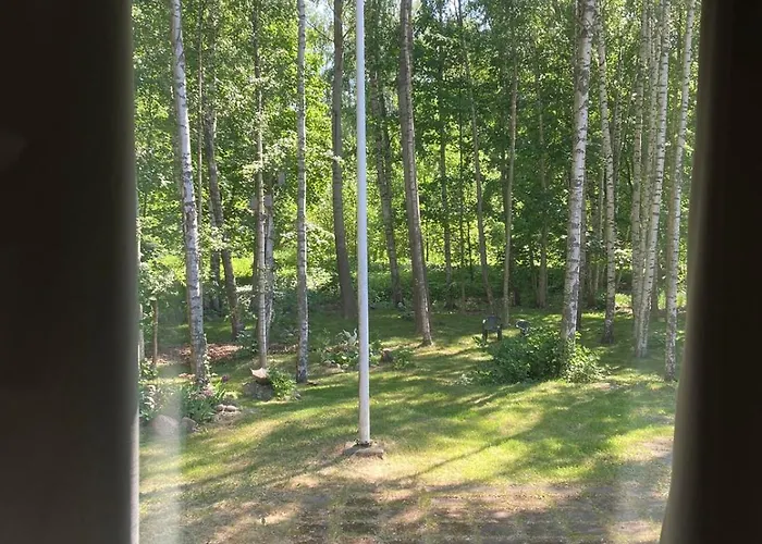 - Kuin Kotonaan Kotka