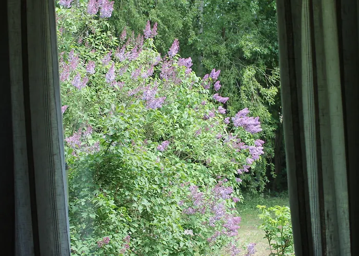 Penzion - Kuin Kotonaan