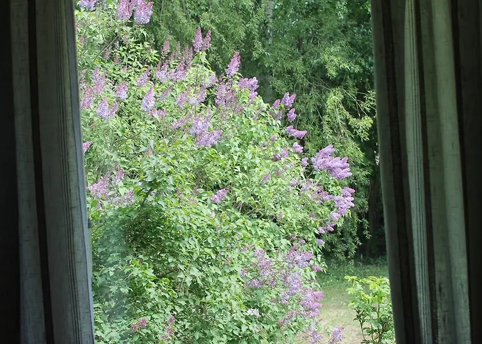 - Kuin Kotonaan 2* Котка